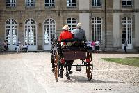 Photo n 40765&#10;CIAT Haras National du Pin 2017 Photo N. TOUDIC&#10;Marc MATTHYS ( B) New-Forest. Dog Cart&#10;Affiche 12 fois&#10;Ajoute le 12/07/2017 18:00:34 par Nadinetoudic&#10;&#10;--> Cliquer pour agrandir <--