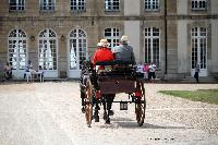 Photo n° 40765
CIAT Haras National du Pin 2017 Photo N. TOUDIC
Marc MATTHYS ( B) New-Forest. Dog Cart
Affichée 10 fois
Ajoutée le 12/07/2017 18:00:34 par Nadinetoudic

--> Cliquer pour agrandir <--