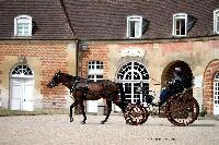 Photo n 40767&#10;CIAT Haras National du Pin 2017 Photo N. TOUDIC&#10;Ides CORNILLE ( B) PRE. Petit-Duc&#10;Affiche 12 fois&#10;Ajoute le 12/07/2017 18:00:34 par Nadinetoudic&#10;&#10;--> Cliquer pour agrandir <--