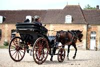 Photo n 40770&#10;CIAT Haras National du Pin 2017 Photo N. TOUDIC&#10;Ides CORNILLE ( B) PRE. Petit-Duc&#10;Affiche 19 fois&#10;Ajoute le 12/07/2017 18:00:34 par Nadinetoudic&#10;&#10;--> Cliquer pour agrandir <--