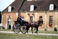 Photo n 40774&#10;CIAT Haras National du Pin 2017 Photo N. TOUDIC&#10;Jean-Eric NANSOT ( F) Portugais. Dos  dos&#10;Affiche 35 fois&#10;Ajoute le 12/07/2017 18:00:34 par Nadinetoudic&#10;&#10;--> Cliquer pour agrandir <--