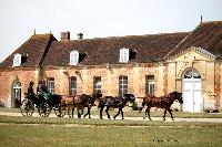 Photo n 40778&#10;CIAT Haras National du Pin 2017 Photo N. TOUDIC&#10;Emmanuel VANTROYS (F) Dartmoor. Wagonnette&#10;Affiche 19 fois&#10;Ajoute le 13/07/2017 19:19:57 par Nadinetoudic&#10;&#10;--> Cliquer pour agrandir <--