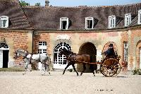 Photo n 40779&#10;CIAT Haras National du Pin 2017 Photo N. TOUDIC&#10;Manuel DEUDON (B) PRE. Dog Cart&#10;Affiche 66 fois&#10;Ajoute le 13/07/2017 19:19:57 par Nadinetoudic&#10;&#10;--> Cliquer pour agrandir <--