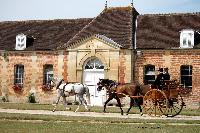 Photo n 40780&#10;CIAT Haras National du Pin 2017 Photo N. TOUDIC&#10;Manuel DEUDON (B) PRE. Dog Cart&#10;Affiche 17 fois&#10;Ajoute le 13/07/2017 19:19:57 par Nadinetoudic&#10;&#10;--> Cliquer pour agrandir <--