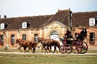 Photo n 40784&#10;CIAT Haras National du Pin 2017 Photo N. TOUDIC&#10;Norbert COULON (F) Cob Normand. Grand Break de Chasse&#10;Affiche 96 fois&#10;Ajoute le 13/07/2017 19:19:57 par Nadinetoudic&#10;&#10;--> Cliquer pour agrandir <--