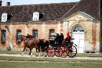 Photo n 40786&#10;CIAT Haras National du Pin 2017 Photo N. TOUDIC&#10;Jean-Pierre DEMAISON (F) Franches-Montagnes. Phaton&#10;Affiche 37 fois&#10;Ajoute le 13/07/2017 19:19:58 par Nadinetoudic&#10;&#10;--> Cliquer pour agrandir <--