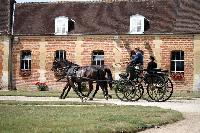 Photo n 40789&#10;CIAT Haras National du Pin 2017 Photo N. TOUDIC&#10;Jean CAVILLON (F) Polonais&#10;Affiche 17 fois&#10;Ajoute le 13/07/2017 19:19:58 par Nadinetoudic&#10;&#10;--> Cliquer pour agrandir <--