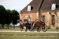Photo n 40791&#10;CIAT Haras National du Pin 2017 Photo N. TOUDIC&#10;Philippe LAMERANT (F) Scherez-Wermblut. Wagonnette&#10;Affiche 37 fois&#10;Ajoute le 13/07/2017 19:19:58 par Nadinetoudic&#10;&#10;--> Cliquer pour agrandir <--