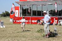 Photo n 40956&#10;LUCON 2017&#10;&#10;Affiche 14 fois&#10;Ajoute le 17/07/2017 10:08:59 par JeanClaudeGrognet&#10;&#10;--> Cliquer pour agrandir <--