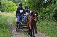 Photo n 40983&#10;BLANGY s/ BRESLE 2017 photo Martine Lefvbre&#10;&#10;Affiche 11 fois&#10;Ajoute le 28/07/2017 08:36:06 par JeanClaudeGrognet&#10;&#10;--> Cliquer pour agrandir <--