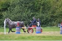 Photo n 40988&#10;BLANGY s/ BRESLE 2017 photo Martine Lefvbre&#10;&#10;Affiche 9 fois&#10;Ajoute le 28/07/2017 08:36:06 par JeanClaudeGrognet&#10;&#10;--> Cliquer pour agrandir <--