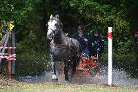 Photo n 40989&#10;BLANGY s/ BRESLE 2017 photo Martine Lefvbre&#10;&#10;Affiche 9 fois&#10;Ajoute le 28/07/2017 08:36:06 par JeanClaudeGrognet&#10;&#10;--> Cliquer pour agrandir <--