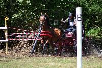 Photo n 40990&#10;BLANGY s/ BRESLE 2017 photo Martine Lefvbre&#10;&#10;Affiche 12 fois&#10;Ajoute le 28/07/2017 08:36:06 par JeanClaudeGrognet&#10;&#10;--> Cliquer pour agrandir <--