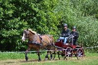 Photo n° 40994
BLANGY s/ BRESLE 2017 photo Martine Lefèvbre

Affichée 8 fois
Ajoutée le 28/07/2017 08:36:07 par JeanClaudeGrognet

--> Cliquer pour agrandir <--