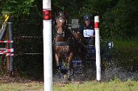 Photo n 40996&#10;BLANGY s/ BRESLE 2017 photo Martine Lefvbre&#10;&#10;Affiche 15 fois&#10;Ajoute le 28/07/2017 08:36:07 par JeanClaudeGrognet&#10;&#10;--> Cliquer pour agrandir <--