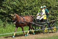Photo n 40999&#10;BLANGY s/ BRESLE 2017 photo Martine Lefvbre&#10;&#10;Affiche 18 fois&#10;Ajoute le 28/07/2017 08:36:07 par JeanClaudeGrognet&#10;&#10;--> Cliquer pour agrandir <--