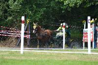 Photo n 41000&#10;BLANGY s/ BRESLE 2017 photo Martine Lefvbre&#10;&#10;Affiche 8 fois&#10;Ajoute le 28/07/2017 08:36:07 par JeanClaudeGrognet&#10;&#10;--> Cliquer pour agrandir <--