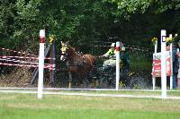 Photo n° 41000
BLANGY s/ BRESLE 2017 photo Martine Lefèvbre

Affichée 5 fois
Ajoutée le 28/07/2017 08:36:07 par JeanClaudeGrognet

--> Cliquer pour agrandir <--