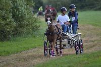 Photo n° 41001
BLANGY s/ BRESLE 2017 photo Martine Lefèvbre

Affichée 14 fois
Ajoutée le 28/07/2017 08:36:07 par JeanClaudeGrognet

--> Cliquer pour agrandir <--