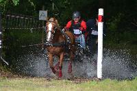 Photo n° 41006
BLANGY s/ BRESLE 2017 photo Martine Lefèvbre

Affichée 6 fois
Ajoutée le 28/07/2017 08:36:07 par JeanClaudeGrognet

--> Cliquer pour agrandir <--