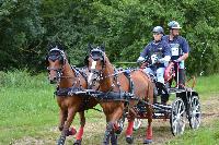 Photo n 41007&#10;BLANGY s/ BRESLE 2017 photo Martine Lefvbre&#10;&#10;Affiche 10 fois&#10;Ajoute le 28/07/2017 08:36:07 par JeanClaudeGrognet&#10;&#10;--> Cliquer pour agrandir <--