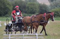 Photo n 41011&#10;BLANGY s/ BRESLE 2017 photo Martine Lefvbre&#10;&#10;Affiche 10 fois&#10;Ajoute le 28/07/2017 08:36:07 par JeanClaudeGrognet&#10;&#10;--> Cliquer pour agrandir <--
