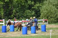 Photo n 41016&#10;BLANGY s/ BRESLE 2017 photo Martine Lefvbre&#10;&#10;Affiche 14 fois&#10;Ajoute le 28/07/2017 08:36:07 par JeanClaudeGrognet&#10;&#10;--> Cliquer pour agrandir <--