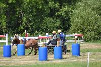 Photo n° 41016
BLANGY s/ BRESLE 2017 photo Martine Lefèvbre

Affichée 13 fois
Ajoutée le 28/07/2017 08:36:07 par JeanClaudeGrognet

--> Cliquer pour agrandir <--