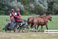 Photo n 41017&#10;BLANGY s/ BRESLE 2017 photo Martine Lefvbre&#10;&#10;Affiche 50 fois&#10;Ajoute le 28/07/2017 08:36:07 par JeanClaudeGrognet&#10;&#10;--> Cliquer pour agrandir <--