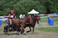 Photo n 41019&#10;BLANGY s/ BRESLE 2017 photo Martine Lefvbre&#10;&#10;Affiche 17 fois&#10;Ajoute le 28/07/2017 08:36:08 par JeanClaudeGrognet&#10;&#10;--> Cliquer pour agrandir <--