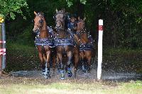 Photo n 41023&#10;BLANGY s/ BRESLE 2017 photo Martine Lefvbre&#10;&#10;Affiche 14 fois&#10;Ajoute le 28/07/2017 08:36:08 par JeanClaudeGrognet&#10;&#10;--> Cliquer pour agrandir <--
