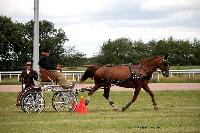 Photo n° 41083
Lisieux Juillet 2017. Photo N.TOUDIC
Philippe THIEBAUT
Affichée 19 fois
Ajoutée le 31/07/2017 16:34:23 par Nadinetoudic

--> Cliquer pour agrandir <--