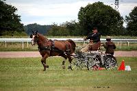 Photo n° 41084
Lisieux Juillet 2017. Photo N.TOUDIC
Philippe THIEBAUT
Affichée 8 fois
Ajoutée le 31/07/2017 16:34:23 par Nadinetoudic

--> Cliquer pour agrandir <--