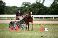 Photo n 41086&#10;Lisieux Juillet 2017. Photo N.TOUDIC&#10;Philippe THIEBAUT&#10;Affiche 21 fois&#10;Ajoute le 31/07/2017 16:34:23 par Nadinetoudic&#10;&#10;--> Cliquer pour agrandir <--