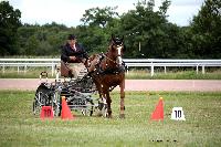 Photo n° 41086
Lisieux Juillet 2017. Photo N.TOUDIC
Philippe THIEBAUT
Affichée 19 fois
Ajoutée le 31/07/2017 16:34:23 par Nadinetoudic

--> Cliquer pour agrandir <--