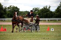 Photo n° 41087
Lisieux Juillet 2017. Photo N.TOUDIC
Philippe THIEBAUT
Affichée 9 fois
Ajoutée le 31/07/2017 16:34:23 par Nadinetoudic

--> Cliquer pour agrandir <--