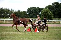 Photo n° 41090
Lisieux Juillet 2017. Photo N.TOUDIC
Charline LE NOUAILLE
Affichée 14 fois
Ajoutée le 31/07/2017 16:34:24 par Nadinetoudic

--> Cliquer pour agrandir <--