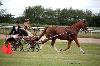 Photo n° 41092
Lisieux Juillet 2017. Photo N.TOUDIC
Charline LE NOUAILLE
Affichée 15 fois
Ajoutée le 31/07/2017 16:34:24 par Nadinetoudic

--> Cliquer pour agrandir <--