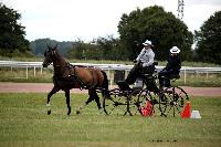 Photo n° 41096
Lisieux Juillet 2017. Photo N.TOUDIC
Johnny GAFFE
Affichée 10 fois
Ajoutée le 31/07/2017 16:34:24 par Nadinetoudic

--> Cliquer pour agrandir <--