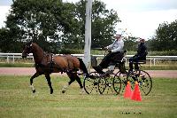 Photo n° 41098
Lisieux Juillet 2017. Photo N.TOUDIC
Johnny GAFFE
Affichée 6 fois
Ajoutée le 31/07/2017 16:34:24 par Nadinetoudic

--> Cliquer pour agrandir <--