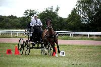 Photo n° 41101
Lisieux Juillet 2017. Photo N.TOUDIC
Johnny GAFFE
Affichée 8 fois
Ajoutée le 31/07/2017 16:34:24 par Nadinetoudic

--> Cliquer pour agrandir <--