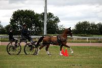 Photo n° 41103
Lisieux Juillet 2017. Photo N.TOUDIC
Daniel DEFEZ
Affichée 15 fois
Ajoutée le 01/08/2017 14:35:56 par Nadinetoudic

--> Cliquer pour agrandir <--