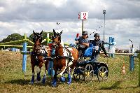 Photo n° 41117
Lisieux Juillet 2017. Photo N.TOUDIC
Mireille MARLIN
Affichée 16 fois
Ajoutée le 01/08/2017 18:20:46 par Nadinetoudic

--> Cliquer pour agrandir <--