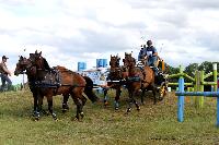 Photo n° 41121
Lisieux Juillet 2017. Photo N.TOUDIC
Jean-Paul ADIDI
Affichée 25 fois
Ajoutée le 01/08/2017 18:20:46 par Nadinetoudic

--> Cliquer pour agrandir <--