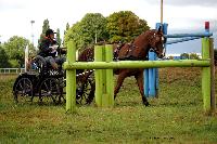 Photo n° 41124
Lisieux Juillet 2017. Photo N.TOUDIC
David GUERIN
Affichée 13 fois
Ajoutée le 01/08/2017 18:20:47 par Nadinetoudic

--> Cliquer pour agrandir <--