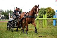 Photo n° 41126
Lisieux Juillet 2017. Photo N.TOUDIC
David GUERIN
Affichée 12 fois
Ajoutée le 01/08/2017 18:20:47 par Nadinetoudic

--> Cliquer pour agrandir <--