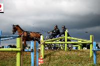 Photo n° 41128
Lisieux Juillet 2017. Photo N.TOUDIC
Daniel DEFEZ
Affichée 11 fois
Ajoutée le 01/08/2017 18:20:47 par Nadinetoudic

--> Cliquer pour agrandir <--