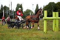 Photo n° 41132
Lisieux Juillet 2017. Photo N.TOUDIC
Dany PRESTAUX
Affichée 12 fois
Ajoutée le 01/08/2017 18:20:47 par Nadinetoudic

--> Cliquer pour agrandir <--