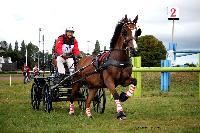 Photo n° 41136
Lisieux Juillet 2017. Photo N.TOUDIC
Dany PRESTAUX
Affichée 143 fois
Ajoutée le 01/08/2017 18:20:47 par Nadinetoudic

--> Cliquer pour agrandir <--