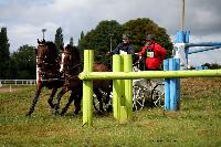 Photo n 41140&#10;Lisieux Juillet 2017. Photo N.TOUDIC&#10;Laetitia MARICOURT&#10;Affiche 16 fois&#10;Ajoute le 01/08/2017 18:20:47 par Nadinetoudic&#10;&#10;--> Cliquer pour agrandir <--